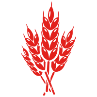 Üstün Kalite ve Eşsiz Lezzet